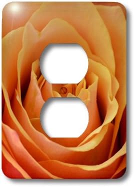 3dRose lsp_31363_6 Sweet Peach Rose Flower Photography Outlet Cover, Multi-Color