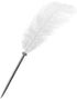 Rgontar Feather Pen - Black Ink Ballpoint Wedding Signing Pen for Bridal Calligraphy (White)