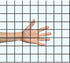 1/4 Inch 21 (24" 50 Hardware Cloth, Gauge Black Vinyl Coated Welded Wire Mesh Roll x FT) Heavy Duty for Chicken Coop