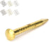 100Pcs Brass Escutcheon Tacks, Round Head Brass Brad Nail Hardware Assortment Kit (15mm Length)