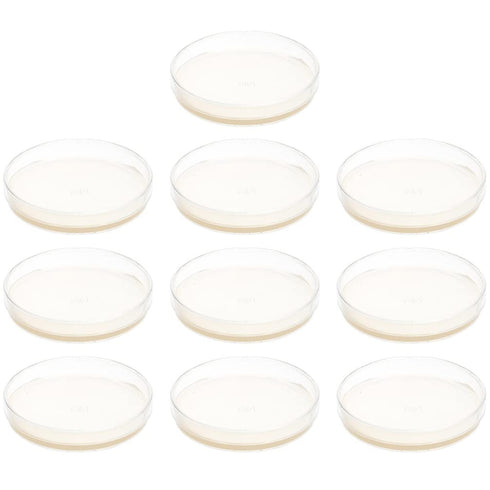 Agar Plates: Prepoured Nutrient Agar Petri Dishes, 10 pcs Growth Medium for Mushrooms & Science Fair Projects Supplies