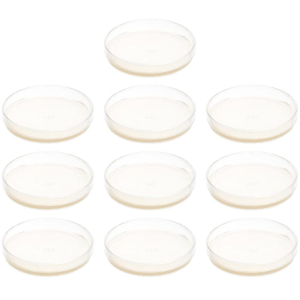 Agar Plates: Prepoured Nutrient Agar Petri Dishes, 10 pcs Growth Medium for Mushrooms & Science Fair Projects Supplies