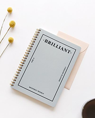 PAPERIAN Brilliant 2021 Monthly & Weekly Planner - Wirebound Undated Scheduler Diary (Grey Sky, 5.9 x 8.2 x 0.4 inches)