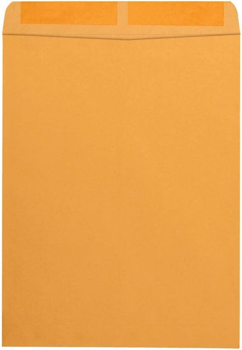 Quality Park Open-End Catalog Envelopes, Gummed, Brown Kraft, 10 x 13, 100 per Box (41667)