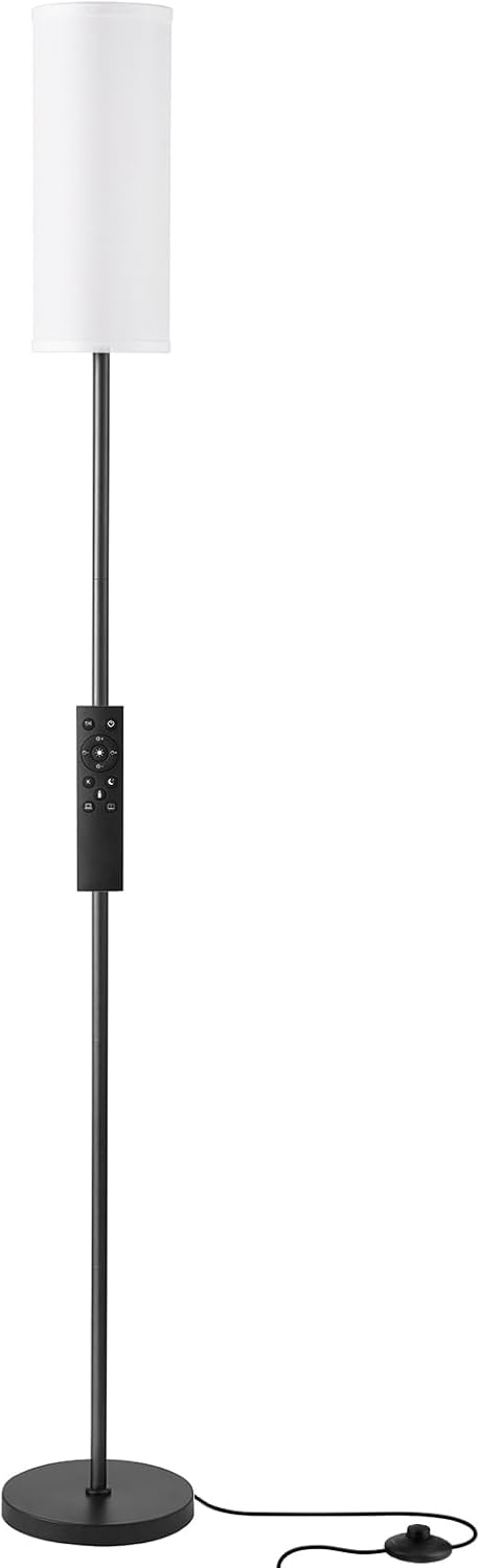 64" Dimmable 9W Bulb Ambimall Floor Lamps for Living Room, Modern Floor Lamp with Remote Control and Stepless Colors