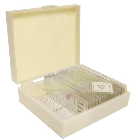 Vision Scientific VSH125 Prepared Slide Set – Plant (Set of 12)