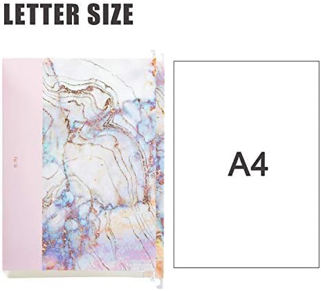 CharaVector Hanging File Folders, Letter Size Assorted Durable Design, 12pcs for Cabinet File Organizer