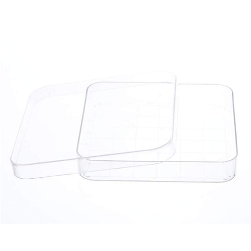 Scicalife 10 Sets Square Petri Dish with Lids, Plastic Material, Container for School Lab Science Experiment