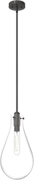 Hunter Fan Company 19563 Lundin Pendant Light, Noble Bronze