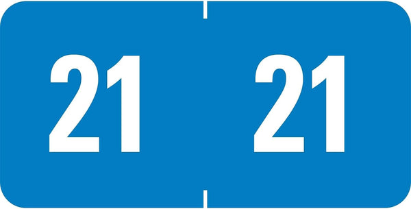Smead ETS Color-Coded Year Label, 2021, Light Blue, 250 Per Pack (67921)