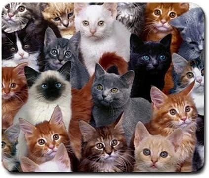 Cats Galore Mouse Pad, Square Anti-Slip Rubber Mousepad, Premium-Textured for Women Men Computer Laptop