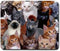 Cats Galore Mouse Pad, Square Anti-Slip Rubber Mousepad, Premium-Textured for Women Men Computer Laptop