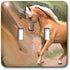 3dRose lsp_4799_2 Double Toggle Switch, Palomino Horse