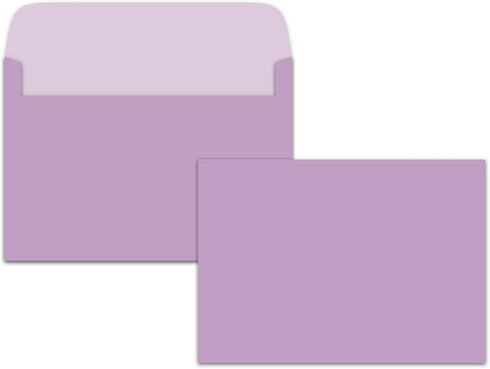 Tree-Free Greetings EcoNotes 12-Count Blank Notecard Set with Envelopes, Where the Wind Takes You Fairy