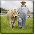 3dRose -CN09 DBR0158 6 Inch Prince Edward Island, Avonlea Village, Dairy Farmer - Dave Bartruff Ceramic Tile