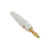 Qingdinu 40 Pcs 4mm Plugs Gold Plated Musical Speaker Cable Wire Pin Banana