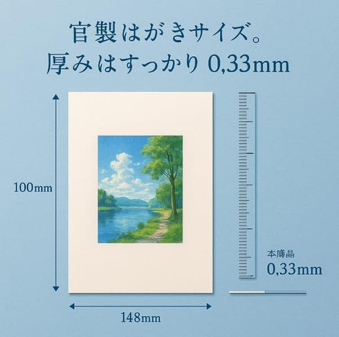 Lac et Soleil 2 Flower Postcard Photo by MIRO Sunflowers and Flowers (Bouquets) Postcards Postcards