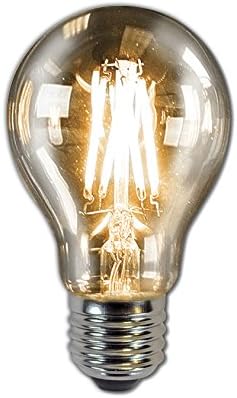 Newhouse Lighting 5W A19 Vintage Edison LED Filament Light Bulb (E26), Dimmable, 2200K by Newhouse Lighting