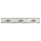Azeeda 'Wild Salmon Fish' 30cm (12 Inch) White Plastic Ruler (RL00101988)
