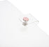 Cute Binder Cover, 2pcs Clear A6, 6-Ring, Refillable Planner, Snap Button Closure, Loose Leaf Folder