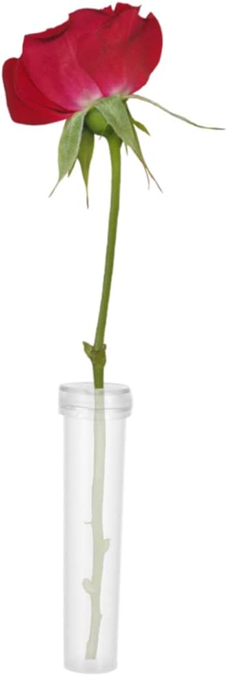 100pcs balacoo Floral Water Tubes White Flower Nutrition Containers for Fresh Flower Preservation Leakproof Test Tubes