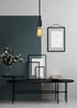 2 Pack 16.4Ft E26/E27 HESSION Plug-in Pendant Light, Vintage Industrial Edison Light Socket Silica Gel Base, Black