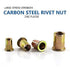 vrupin 100PCS 1/4"-20 Set, Metal(1/4"-20) Rivet Nuts, Carbon Steel UNC Rivet Nut Flat Head Threaded Rivets Nut Inserts