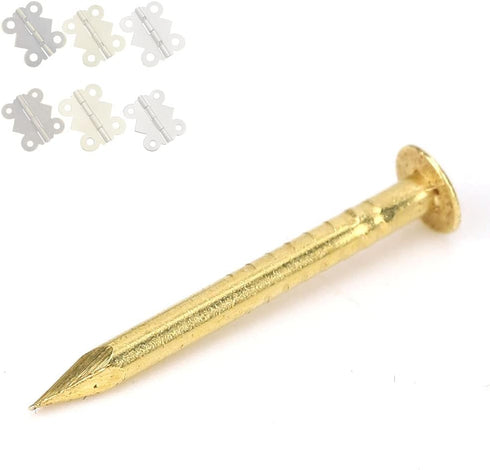100Pcs Brass Escutcheon Tacks | Round Head Brass Brad Nail Hardware Nail Assortment Kit for Furniture Hinge