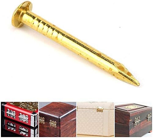 100Pcs Brass Escutcheon Tacks | Round Head Brass Brad Nail Hardware Nail Assortment Kit for Furniture Hinge