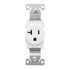 Maxxima 20A Single Receptacle Outlet - 2 Pack, 125 VAC Commercial Grade White Electrical Outlet