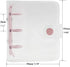 Super Mini Clear 3 Ring Binder Cover Pink Round Ring PVC Binders Snap Closure Loose Leaf Folders Sealing Edge Notebook Shell File Folders Album Binders by MEI YI TIAN