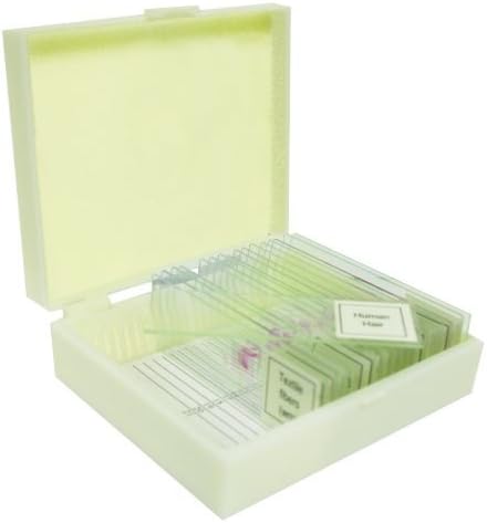 Vision Scientific VSE117 Prepared Slide Set – Water Life (Set of 12)