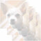 Chihuahua Dog Sticky Notes - Set of 3 - Animal Theme Design - Memo Pad for Office, Business, School Supplies