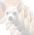Chihuahua Dog Sticky Notes - Set of 3 - Animal Theme Design - Memo Pad for Office, Business, School Supplies