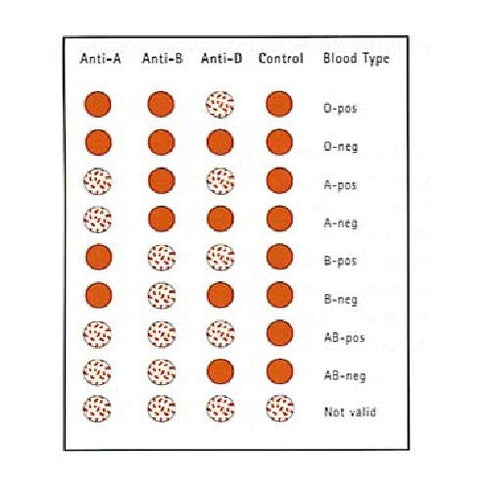 Eldoncard INC Rapid Blood Type Test - 2 Complete Kits with Safety Lancet and Micropipette