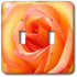 3dRose lsp_1225_2 Peach Rose Double Toggle Switch