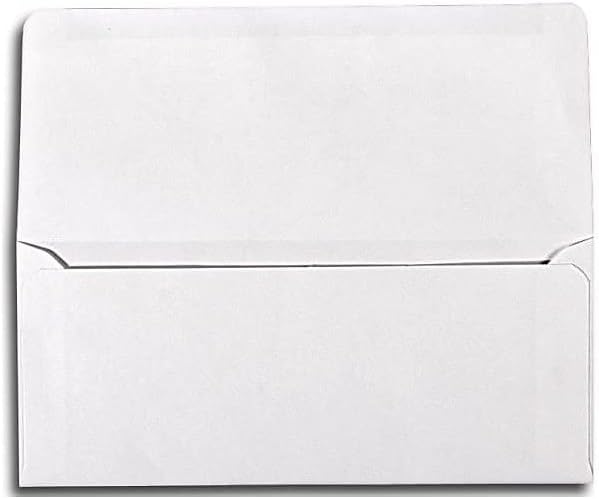 LUXPaper #9 Remittance Envelopes | 3 7/8 x 8 7/8" | Bright White | 24lb. Text | 50 Qty by Envelopes.com
