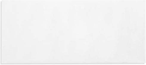 Blue Summit #10 Windowless Envelopes - Gummed Flap, Printer Friendly, 4-1/8” x 9-1/2”, 500 Envelopes