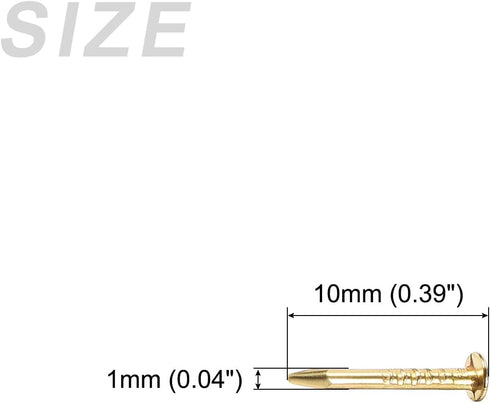 Small Nails (1x10mm) 200pcs, Carbon Steel Tiny Hardware Nails - for Household Woodworking, Gold Tone