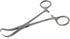 Backhaus Towel Clamps Forceps - Stainless Steel with Ratchet Handle for Firm Grip 5.25" Long Surgical Instruments