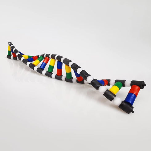 iplusmile DNA Double Helix Structure Models Kit Biological Science Popularization Teaching Aid for DNA Assembling