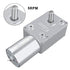 DC 12V High Torque Worm Gear Motor, Reversible Speed Reducing Gear Motor with Female Shaft (5RPM)