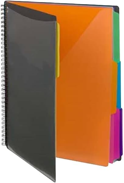 Smead 12 Pocket Poly Project Organizer, Letter Size, 1/3-Cut Tab, Gray with Bright Colors (89207) by SMEAD