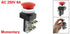 AC 600V 6A 38 mm 1.5" Red Sign Momentary Mushroom Push Button Switch by uxcell