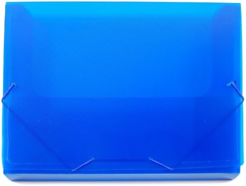 Lion File-N-Tote Plastic Document File, 1 File, 13 x 9-7/8 Inches, 1 Inch Capacity, Translucent Blue (45100F-BL)