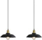 Newrays 2 Pack Black Farmhouse Pendant Light, Industrial Ceiling Lights Fixture for