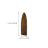 10pcs Paleontology Belemnite Specimen Science Ornament Laboratory Supply