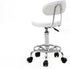 Volowoo Semi-PU Leather Nylon Stool,Multi-Purpose Adjustable Spa Bar Stool on Wheel for Work, Office, Desk, Salon