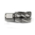OSCARBIDE 1"x1" Annular Cutter, 3/4 inch Weldon Shank, 1 inch Cutting Diameter, 1 inch Depth of Cut, 2 Flat Mag Drill