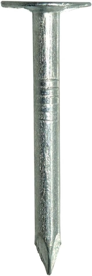 Grip-Rite 114EGRFG5 1-1/4-Inch Electro-Galvanized Roofing Nails, 5 Pounds